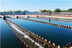 遠(yuǎn)卓第8-9次簽約珠海水控集團(tuán)