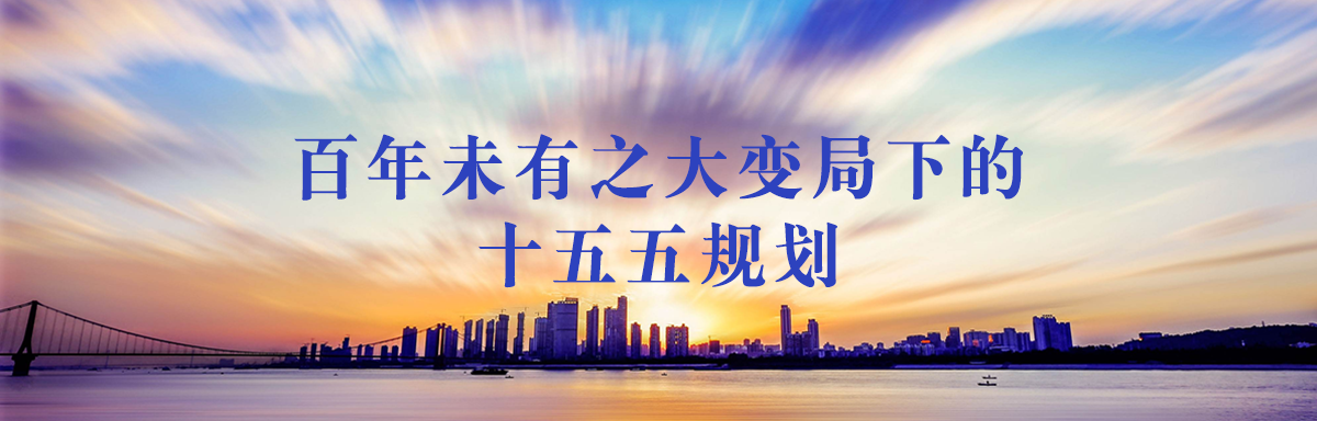 十五五規(guī)劃白皮書(shū)